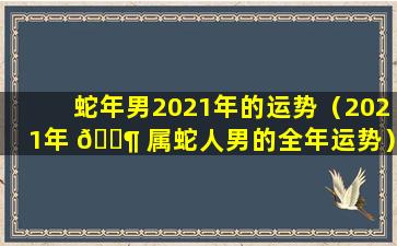 蛇年男2021年的运势（2021年 🐶 属蛇人男的全年运势）